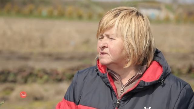 Квітник і його правила: як обрати квіти для домашньої клумби? смотреть онлайн