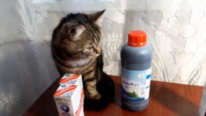 Обзор удобрений для подкормки растений. Экофус. Фертика. Микроэлементы.