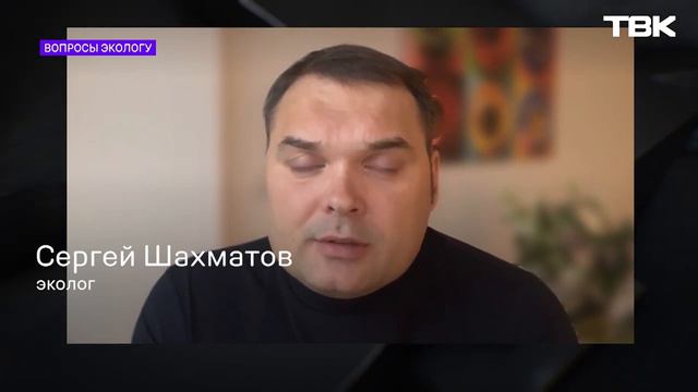 «Вопросы экологу»: как спасти Енисей от загрязнения