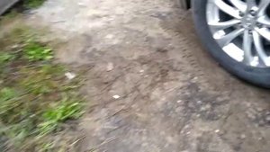 Инфинити s51 Прописываем датчики давления TPMS без ОД.