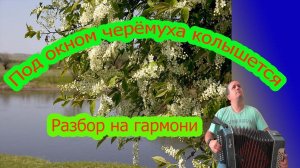 Под окном черемуха колышется || Разбор на гармони ||