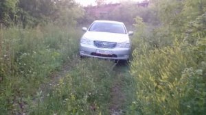 Тойота Кроун Маджеста