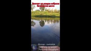 Рыбалка. Хватает на каждом забросе.
