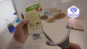 Томат Засолочное Чудо. Семена Алтая