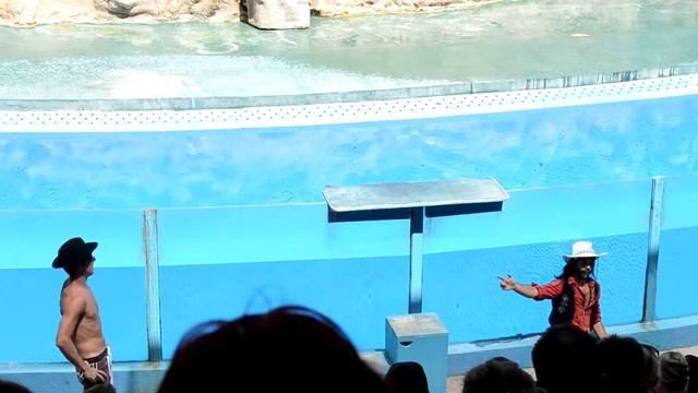 Zoomarine.. смотреть онлайн