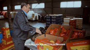 Пограничный фитосанитарный контроль