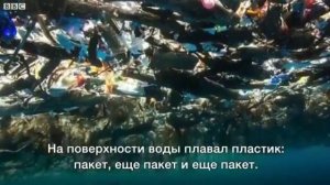 Остров в океане из пластика!