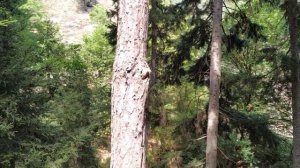 ГРУЗИЯ, МОЁ ПУТЕШЕСТВИЕ в АБАСТУМАНИ ЛЕЧЕБНЫЙ ВОЗДУХ и КРАСОТА НЕОПЕСУЕМАЯ