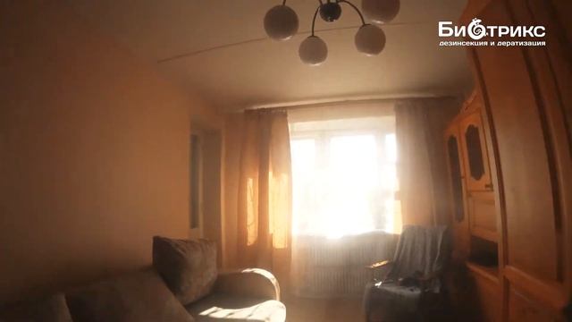 Как холодный туман уничтожает блох и тараканов?! смотреть онлайн