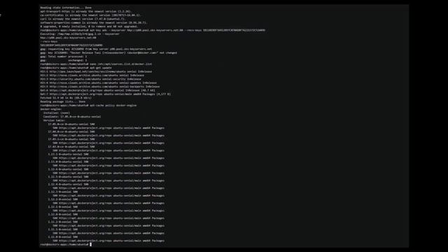 Instalación de Docker en Ubuntu 16.04 смотреть онлайн