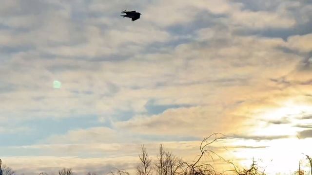 Кронштадт морозным днём смотреть онлайн