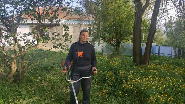 Косим траву, получили посылку с саженцами, снова прибавление в хозяйстве / Из города в станицу