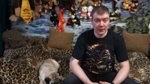Сколько грунта нужно засыпать в аквариум? Давайте посчитаем!