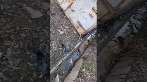 самый грязный город в Таджикистане город рогун сари пулак