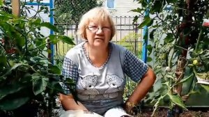 10 Главных Ошибок при выращивании томатов