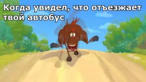 Конь Юлий бежит