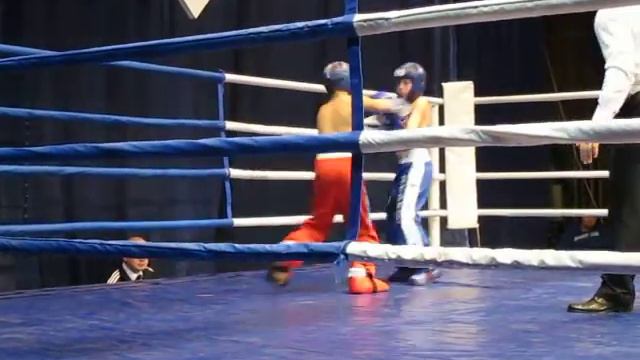 Всероссийский турнир по кикбоксингу в Балашихе "Золотая перчатка" смотреть онлайн