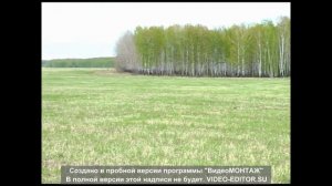 О технологии гидропосева газона.