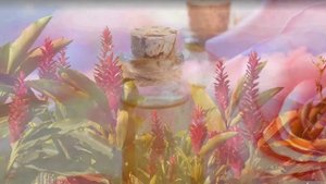 Производство эфирных масел как бизнес идея