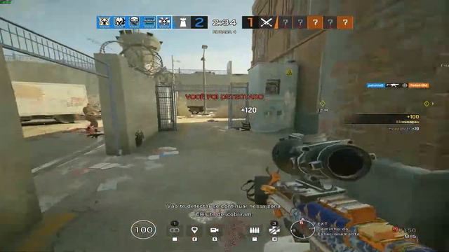 Petunia - Highlights 3