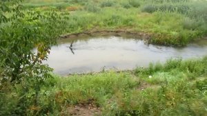 На рыбалку и подводную охоту. Ока, Вожа.