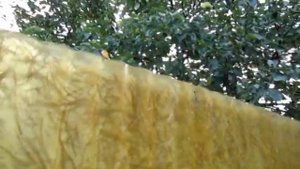 устройство для снятия яблок