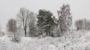 СМИРЕНИЕ.ИРИНА СКОРИК.Сл.ИЕРОМ.РОМАНА МАТЮШИНА