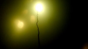 Подводная съемка на болоте в глухозимие!