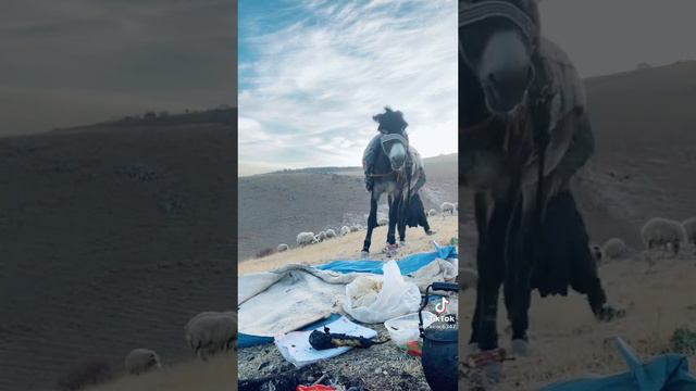 Прикол про мужика