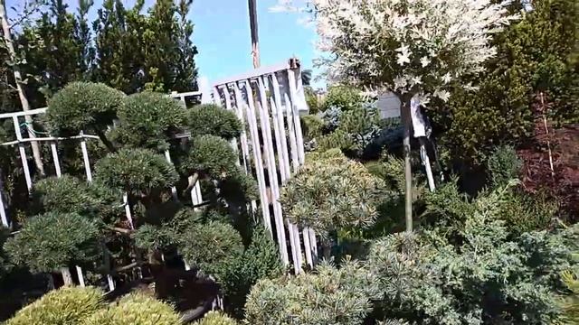 Садовый центр на Тайнинской