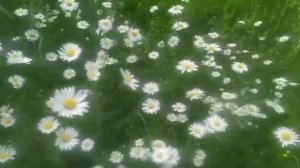 Жена брата приняла меня хорошо