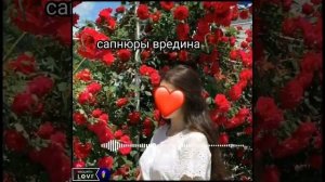 ?ЦЫГАНСКАЯ ПЕСНЯ 2023?моя роза ?
