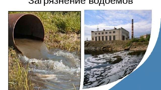 охрана окружающей среды смотреть онлайн