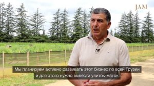 Этих улиток выращивают в Грузии и продают в Европу