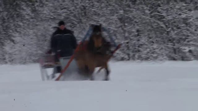 В санях на лошади по целине. смотреть онлайн