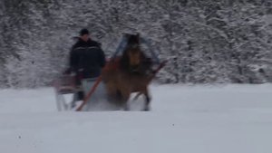 В санях на лошади по целине.