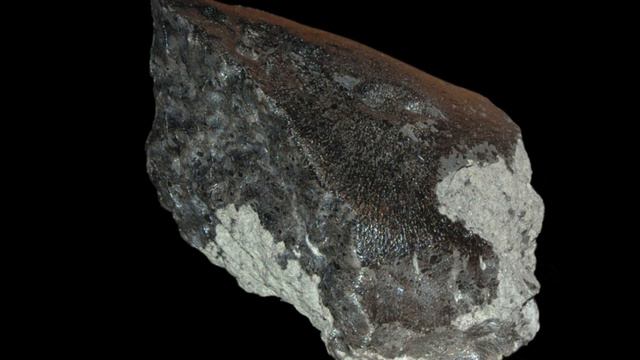 Mars meteorite that crashed to Earth contains 'huge diversity' of organic compounds смотреть онлайн
