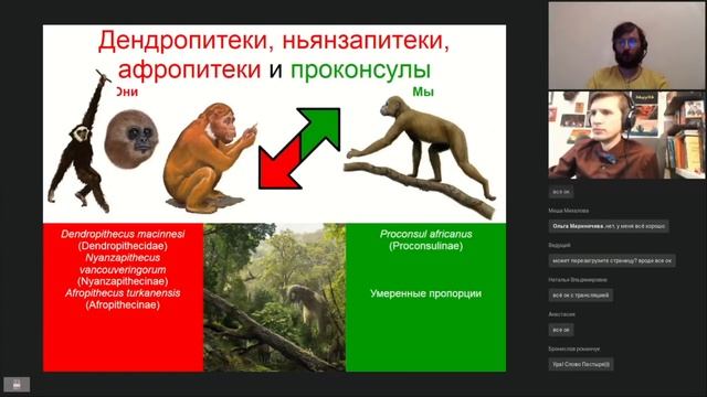 Красавцы и чудовища: кем были соседи предков человека? Спикер - Станислав  Дробышевский