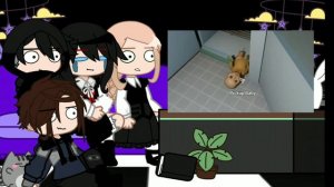 РЕАКЦИЯ Tiny Bunny на Антона как ВАЛЕРА ГОСТЕР[Гоняюсь за лысым🤷]