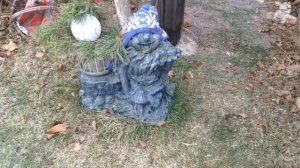 Как накормить птиц в своём саду.