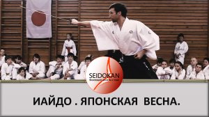 Показательные выступления на открытии фестиваля "Японская весна" в ШВСМ