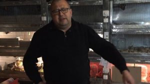 Перепела в интернете. Где правда, брат? МОИ перепела