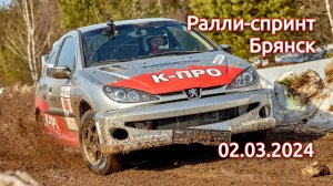 Ралли-спринт Брянск 02.03.2024