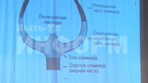 Чемпионат зубных техников