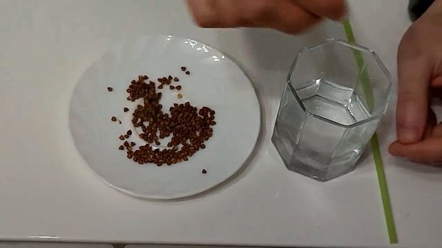 Экспериментирование с профессором смотреть онлайн