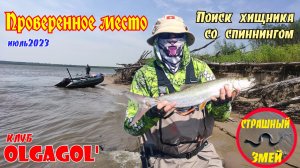 Поиск хищника со спиннингом. На проверенное место,