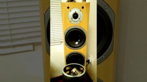 AMP PRO TW 15