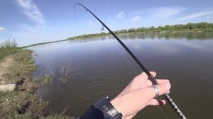 Окский жерех на ратлины Hunter. Май 2022