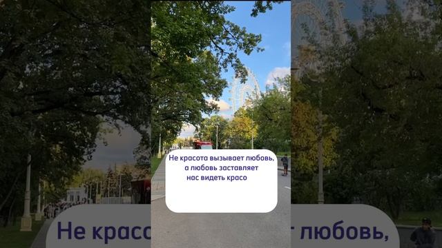 Красота и любовь    #психолог #отношения #любовь