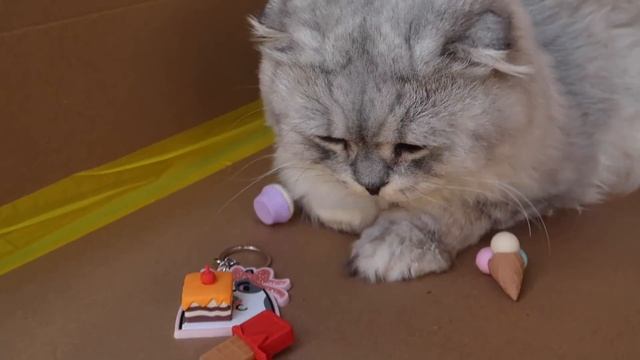 ТРЕЙДЫ КАНЦЕЛЯРИЕЙ ДЛЯ КОТОВ В КАРТОННЫХ ШКОЛАХ | КЕВА И БИЛ ИДУТ В ШКОЛУ смотреть онлайн